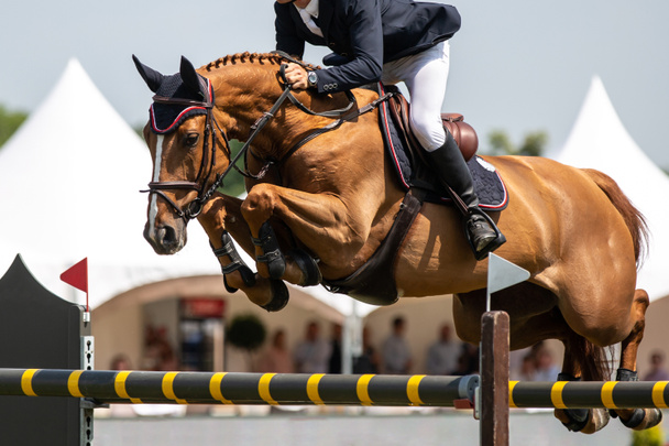 Horse Jumping, Equestrian Urheilu, Show Jumping teemalla kuva. - Valokuva, kuva