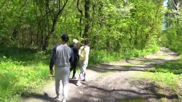 Lidé kráčející po stezce v lese - Záběry, video