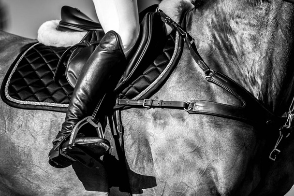 Horse Jumping, Jezdecké sporty, Show skákání tématické foto. - Fotografie, Obrázek