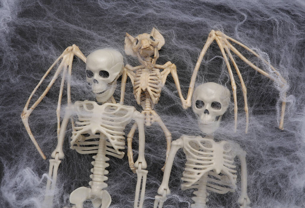 vleermuizen en menselijke skeletten in spinnenweb op zwarte achtergrond - Foto, afbeelding