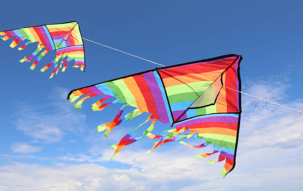 twee grote ongelooflijk kleurrijke vliegers vliegen hoog in de lucht, symbool van vrijheid en lichthartigheid - Foto, afbeelding