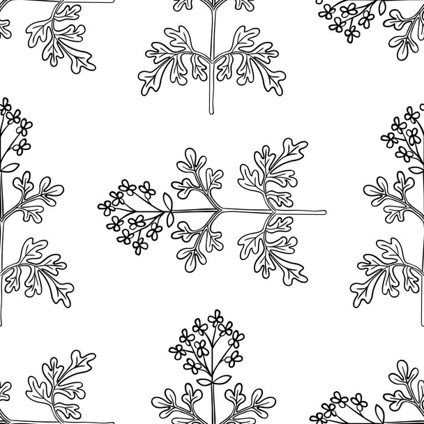 Seamless pattern with bitter herbs in sketch style. Herb-of-grace Ruta graveolens , elements and flowers, leaves and berries. Common rue, hand drawn doodle illustration. - Vektor, obrázek