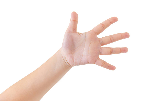 nők kéz ázsiai fehér bőr hi öt ujjak, duci fiatal kövér lány tenyér elszigetelt fehér háttér. - Fotó, kép