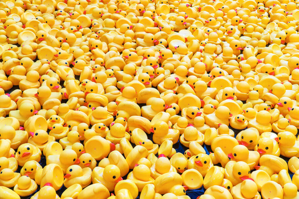Yüzme havuzunda sarı lastik ördekler. Çocukluk, yaşam tarzları ve su özellikleri için mükemmel bir çekim.. - Fotoğraf, Görsel
