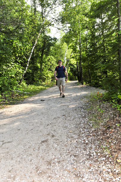 Man walking on forest trail - Photo, Image