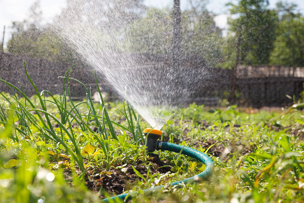 Bahçe ekipmanları sulama - Fotoğraf, Görsel