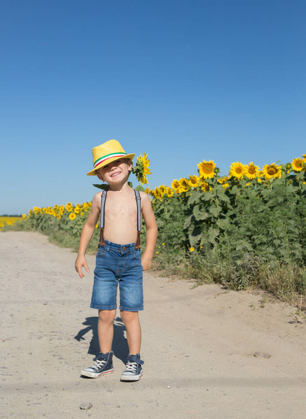 soleado día de verano en un campo de girasoles florecientes. En el fondo de las flores, un divertido chico positivo de 4-5 años en un sombrero amarillo y pantalones cortos en tirantes con un girasol  - Foto, imagen