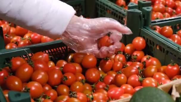Женские руки выбирают помидоры черри в супермаркете.  - Кадры, видео
