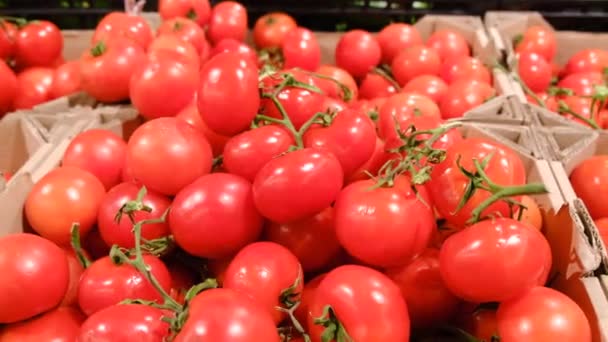 Červená rajčata v supermarketu, přírodní produkty pěstované na farmě v obci - Záběry, video