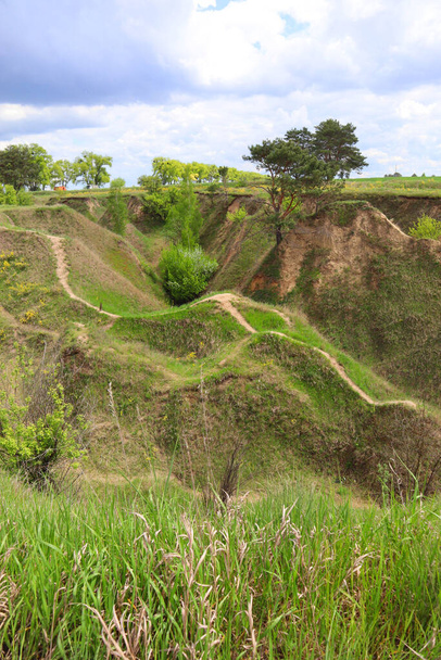 緑の芝生で覆われた丘の斜面(自然保護区ウクライナアイスランド)ウクライナのヴァシルコフ近く - 写真・画像