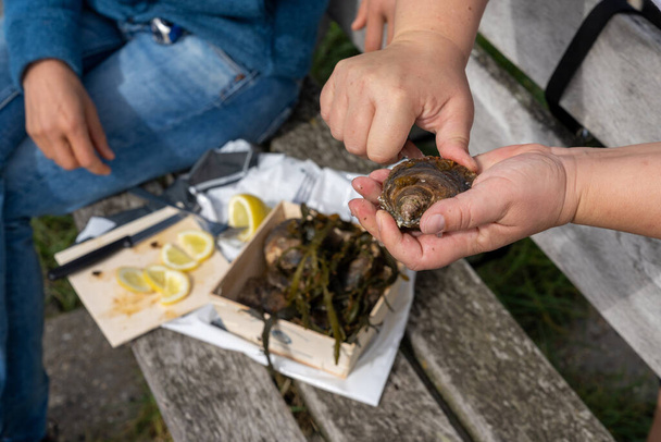 A close up view of two caucasian women shucking raw oysters and enjoying them with lemon - Photo, Image