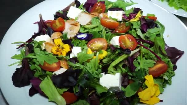 Ensalada deliciosa con queso, tomates, carne y hierbas - Imágenes, Vídeo