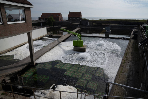 Yerseke, Holland - 13. Mai 2021: Käfige mit frischen Austern auf einer Austernfarm, die mit Sauerstoff belüftet wird - Foto, Bild