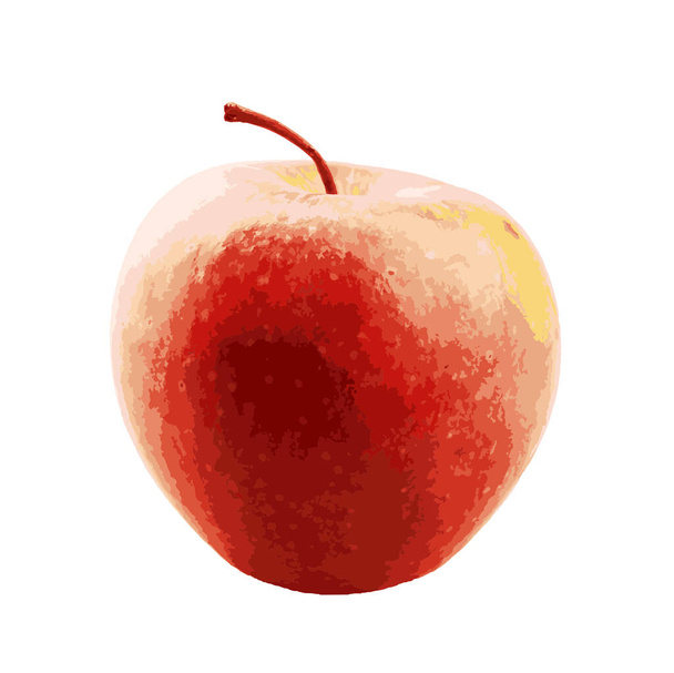 Piros alma, fehér háttérrel. A vörös alma az antocianintól kapja a színét. Ezek pigmentek, vagy természetes színezékek, amelyek az alma növekedésével fejlődnek. - Fotó, kép