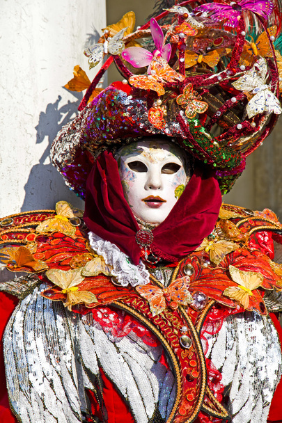 Carnaval de Venecia
 - Foto, Imagen