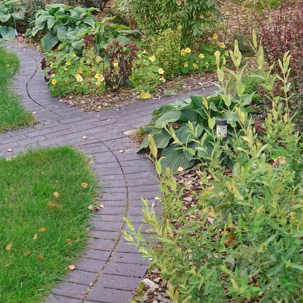 Achtertuin Tuin Modern Design Landscaping. Decoratieve Tuin Winding Pathway Walkway van zwarte stenen. Achtertuin gazon en natuurlijke Mulched grens tussen gras en gebogen bakstenen bestrating. Weg naar huis. - Foto, afbeelding