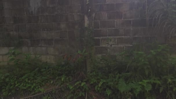 alta barrera de pared de hormigón de entrada ilegal en la propiedad - Imágenes, Vídeo
