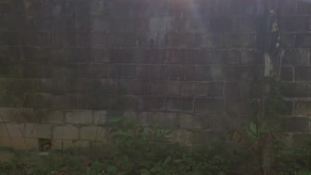 alta barrera de pared de hormigón de entrada ilegal en la propiedad - Imágenes, Vídeo