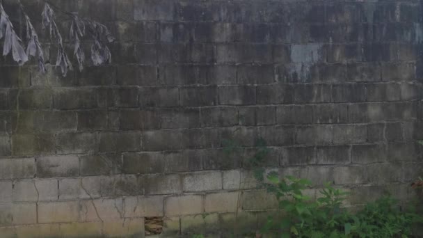 ψηλό τσιμεντένιο τείχος εμπόδιο από καταπάτηση σε ιδιοκτησία - Πλάνα, βίντεο