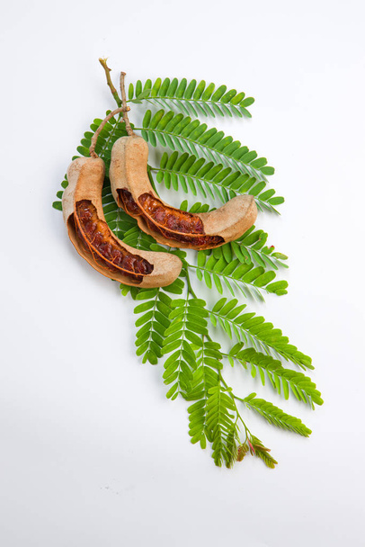Tamarind _ bean, как стручки, наполненные семенами, окруженные фиброзной мякотью, расположенной на белом фактурном фоне со свежим зеленым листом. - Фото, изображение