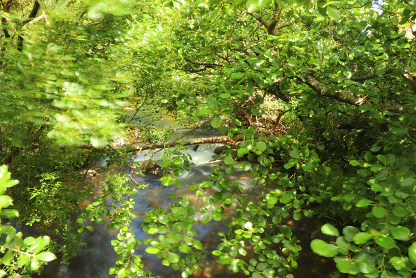 Річка Геддон тече через долину і через скелясту землю. - Фото, зображення