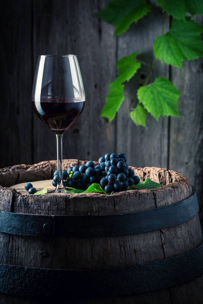 Glass of red wine and dark grapes on wooden barrel. Wine industry. - Φωτογραφία, εικόνα