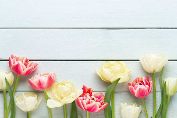 Spring flowers. Tulips on pastel colors background. greeting card Retro vintage style. Mother day, easter greeting card. - Фото, зображення