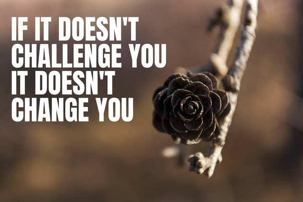 Jeśli nie rzuci ci ci wyzwania, to cię nie zmieni. - Zdjęcie, obraz