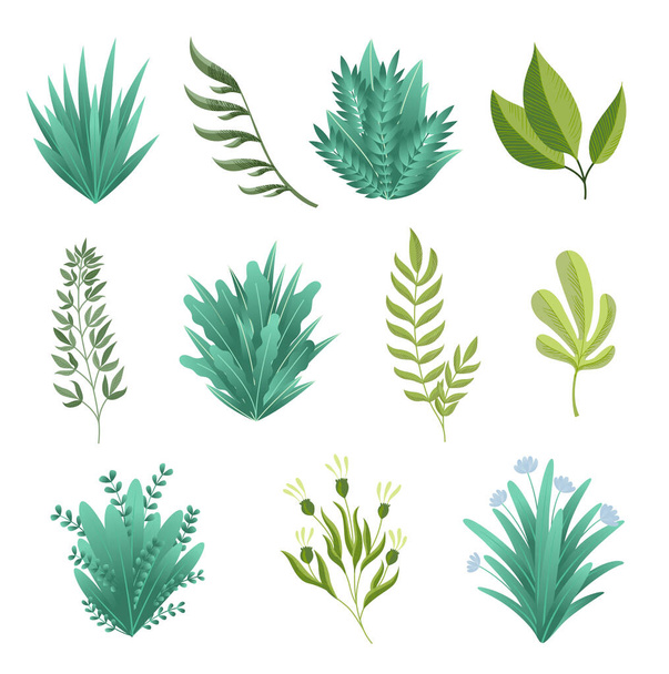 Zöld ágak. Zöld, realisztikus tavaszi füvek. Egzotikus növényi levelek trópusi absztrakt, izolált szimbólumok gyűjteménye. Különböző minták természetes gyep rét bokrok - Vektor, kép