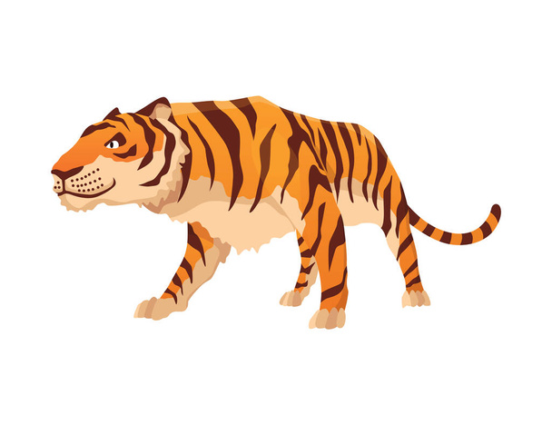 Adult big tiger. Cute animal from wildlife. Big cat. Predatory mammal. Painted cartoon animal design. Flat vector illustration isolated on white background - Vector, Image