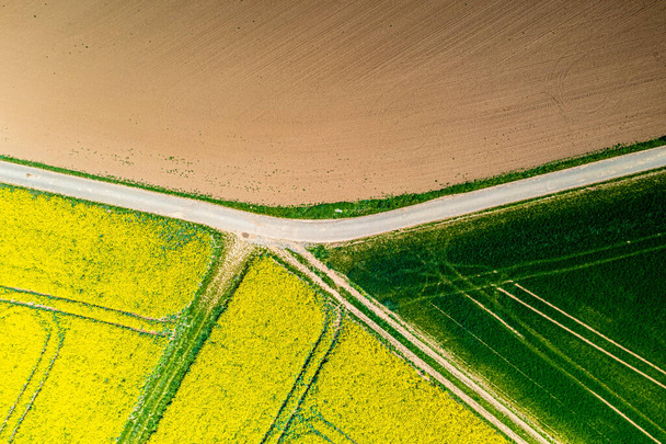 Pionowy dron zdjęcie pola rzepaku wiosną w typowym jasnożółtym kolorze w ciągu dnia - Zdjęcie, obraz