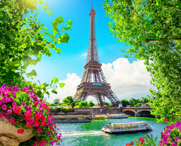 Flor em Paris - Foto, Imagem
