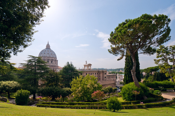 View at the St Peter's Basillica from the Vatican Gardens - Photo, Image