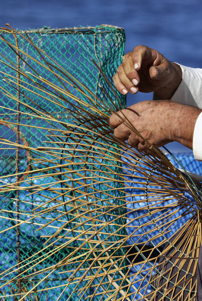 Ιταλία, Σικελία, Portopalo di Capo Passero, ψαράς που φτιάχνει αστακό - Φωτογραφία, εικόνα