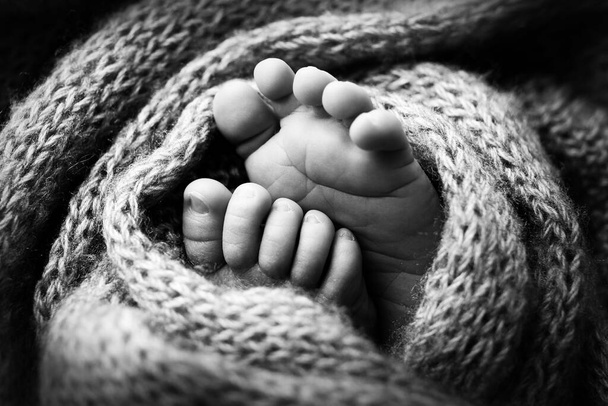 Φωτογραφία των ποδιών ενός νεογέννητου. Πόδια μωρού καλυμμένα με μαλλί απομονωμένο φόντο. Το μικροσκοπικό πόδι ενός νεογέννητου σε απαλή επιλεκτική εστίαση. Ασπρόμαυρη εικόνα των πελμάτων των ποδιών. - Φωτογραφία, εικόνα
