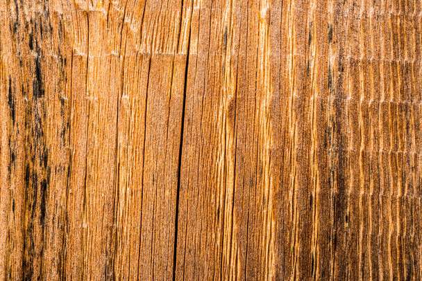 Old wooden wall. View close up - Fotoğraf, Görsel