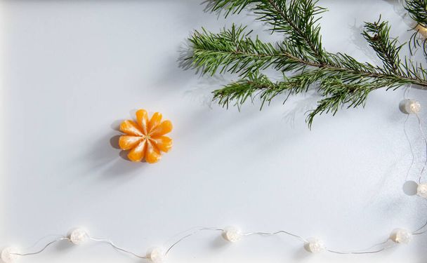 tangerine slices and green fir branch on a white background - Foto, Imagem