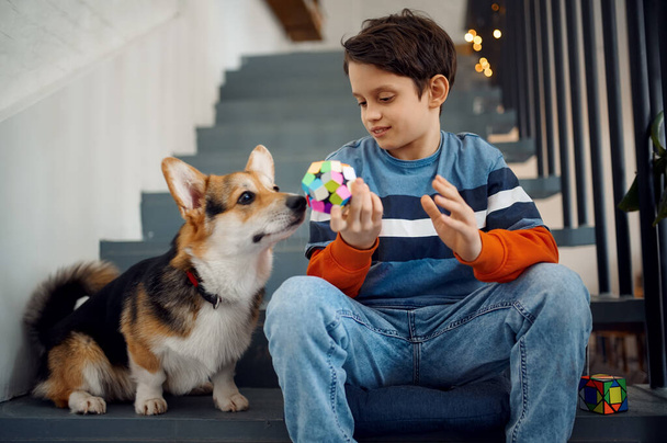 Child and his dog play with puzzle cubes on steps. Toy for brain and logical mind training, creative game, solving of complex problems - Fotó, kép