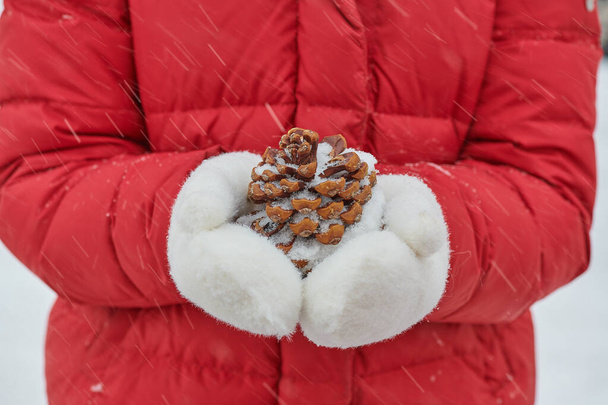 το χειμώνα σε λευκά γάντια ένα κουκουνάρι στο χιόνι - Φωτογραφία, εικόνα