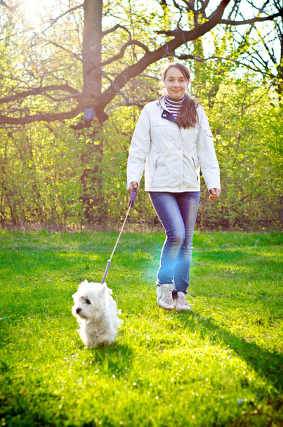 woman with terrier - Φωτογραφία, εικόνα
