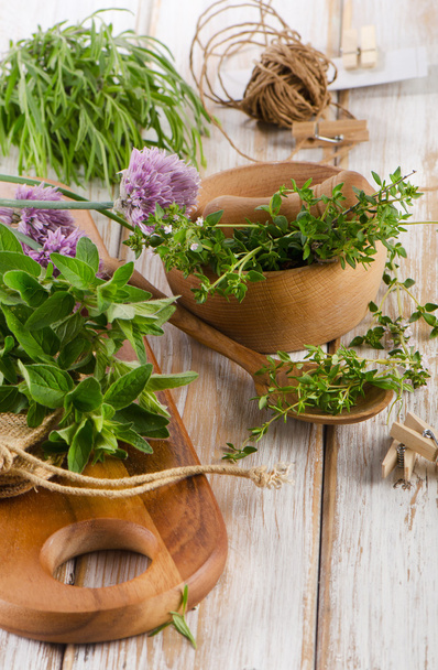 Herbs - Photo, Image