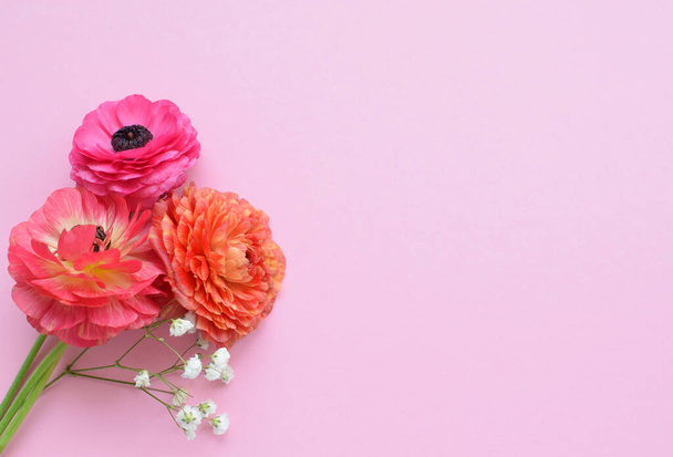Beautiful bouquet of colorful ranunculus flowers on a pink background. Flowers buttercup. Copy space for text - Foto, Imagem