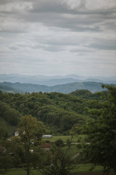 A vertical shot of a village in the green woods under a cloudy sky - Foto, afbeelding
