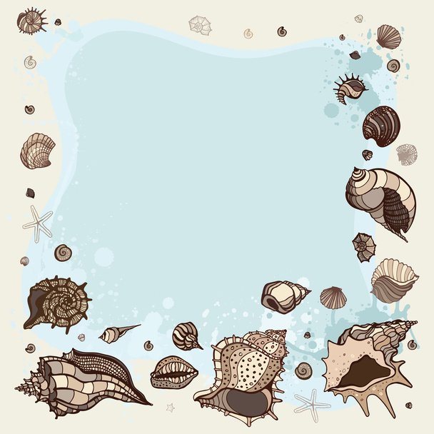 Summer Frame of seashells. - Vector, Image