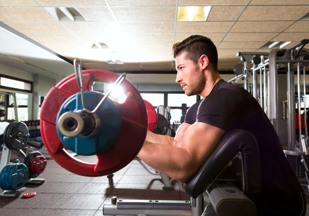 biceps preacher bench arm curl workout man at gym - Photo, Image