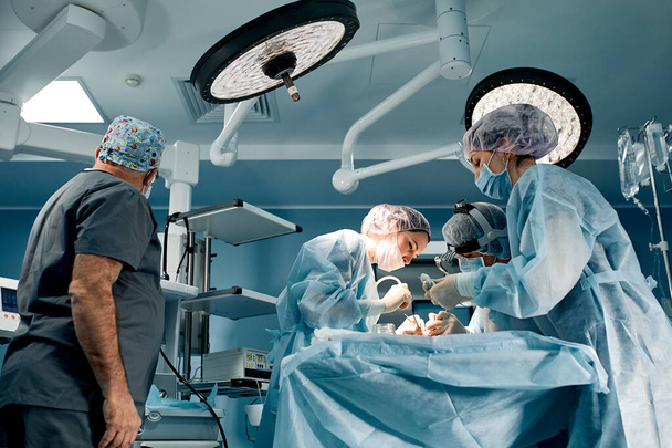 A team of surgeons is fighting for life, for a real operation, for real emotions. The intensive care team is fighting for the life of the patient. Saving life, the struggle for life - 写真・画像