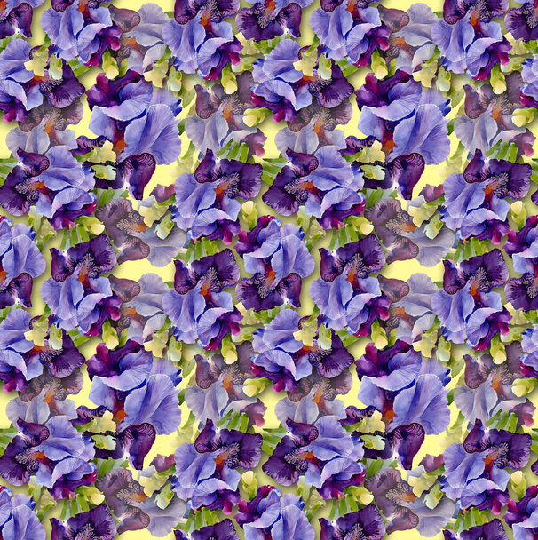 Irises pattern - Φωτογραφία, εικόνα