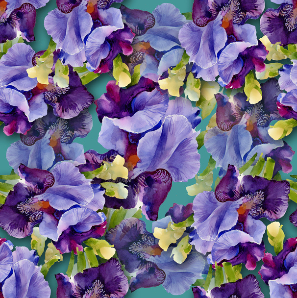 Irises pattern - Zdjęcie, obraz