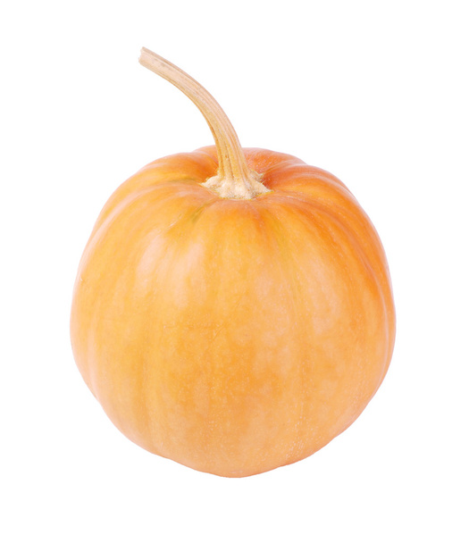 One Orange pumpkin - Photo, Image