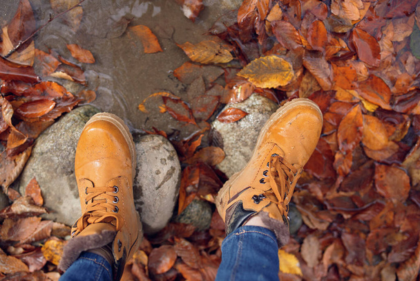 женские ноги на камнях опавшие осенние листья вид сверху - Фото, изображение
